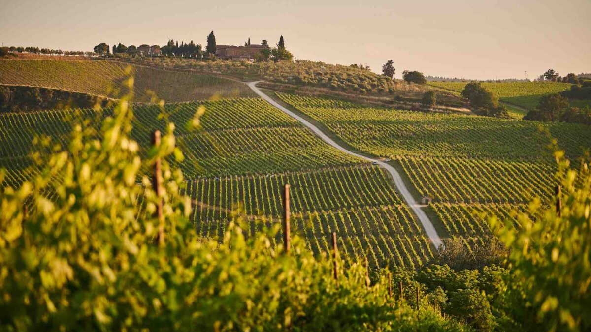 Airbnb e Coldiretti insieme per promuovere l’enoturismo made in Italy