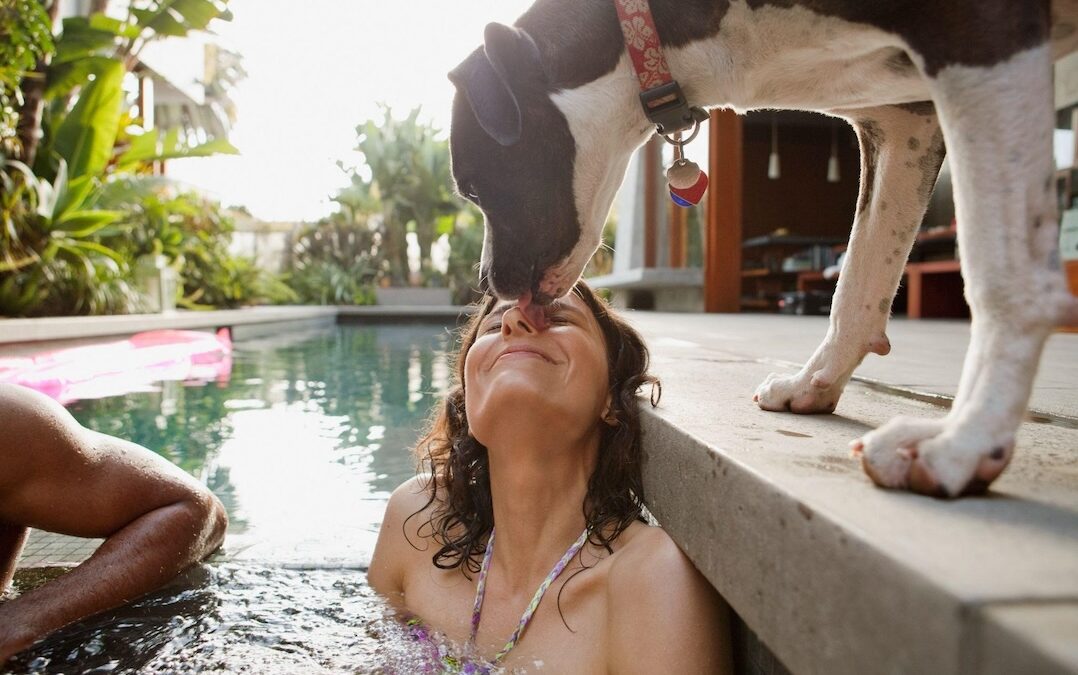 Giornata mondiale del cane, cresce l’interesse per i viaggi pet-friendly